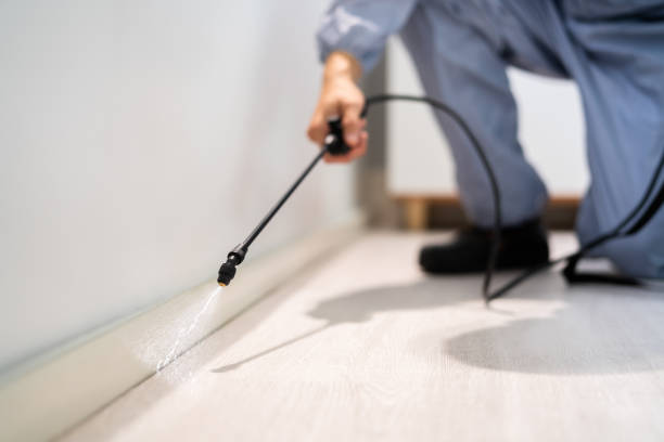 Licensed Rodent Control service in Clark County County, OH - Nex Pest Control